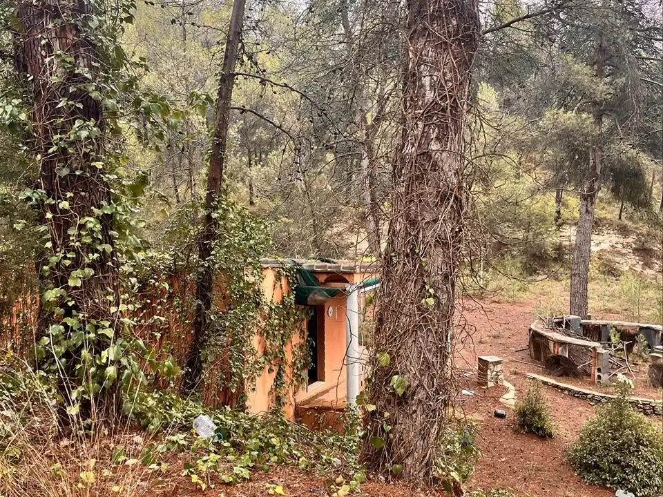 Casa amb piscina en venda a Sargento (El), imagen 5