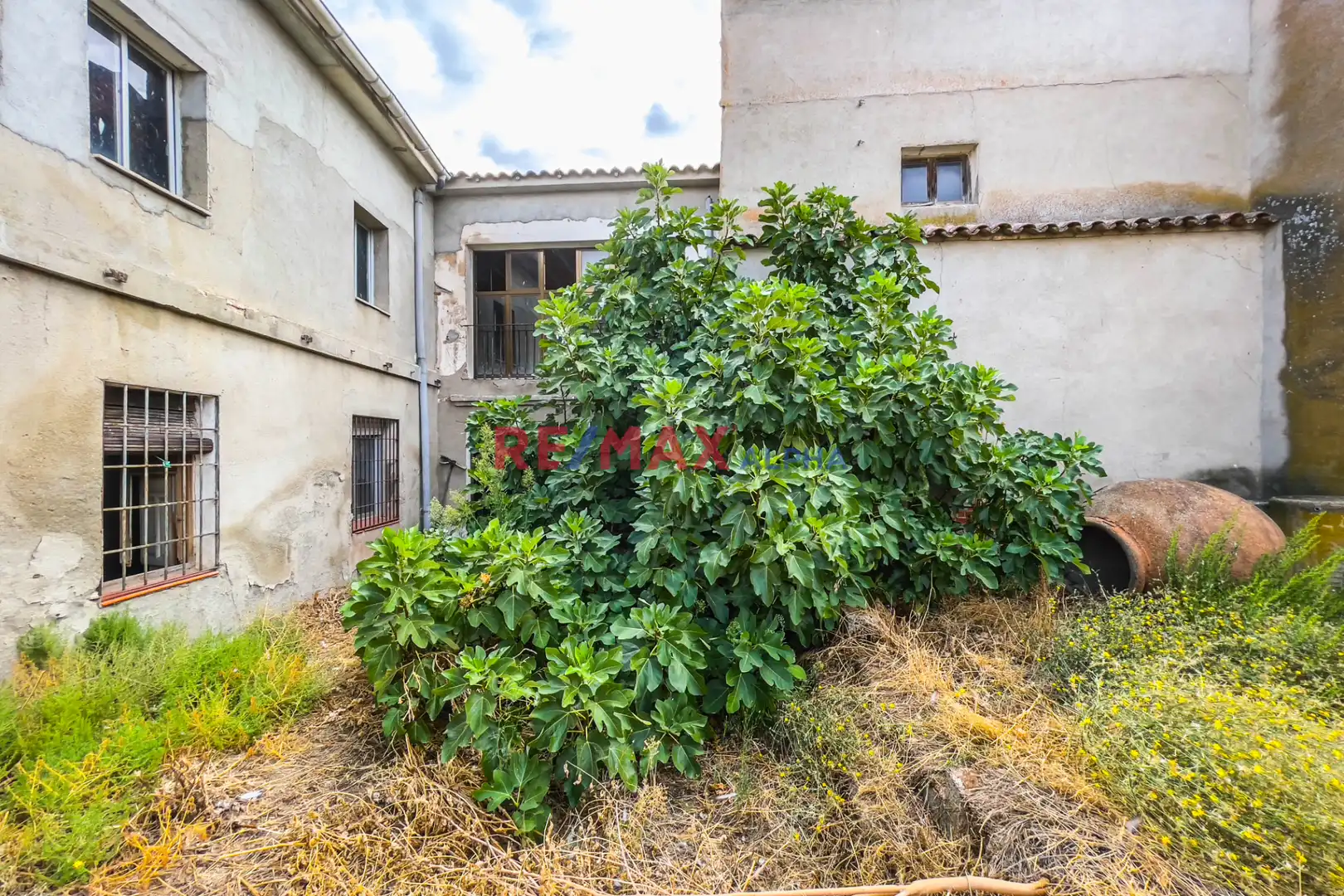 Vista exterior de Finca rústica en venda en Domingo Pérez amb Jardí privat