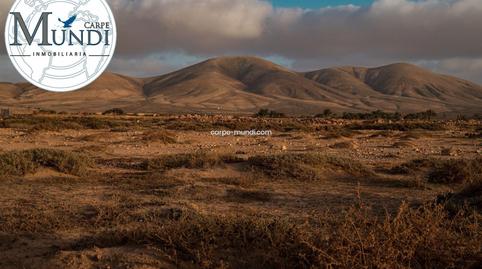 Photo 4 of Land for sale in Polígono Paraje el Jarce, Tuineje pueblo, Las Palmas