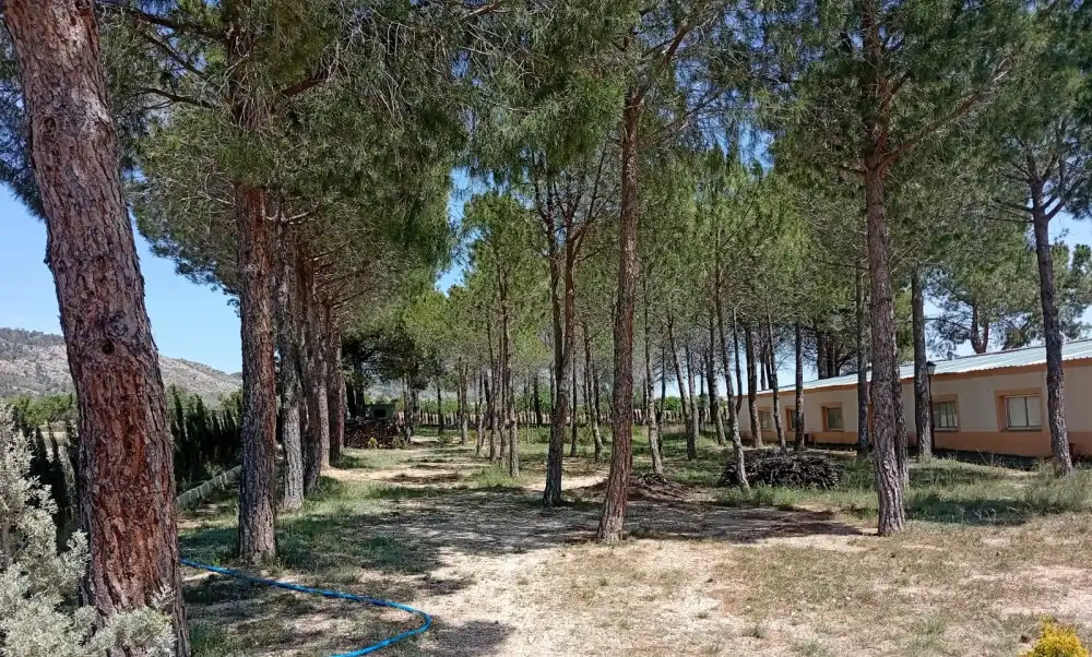 Piso en venta en Salinas