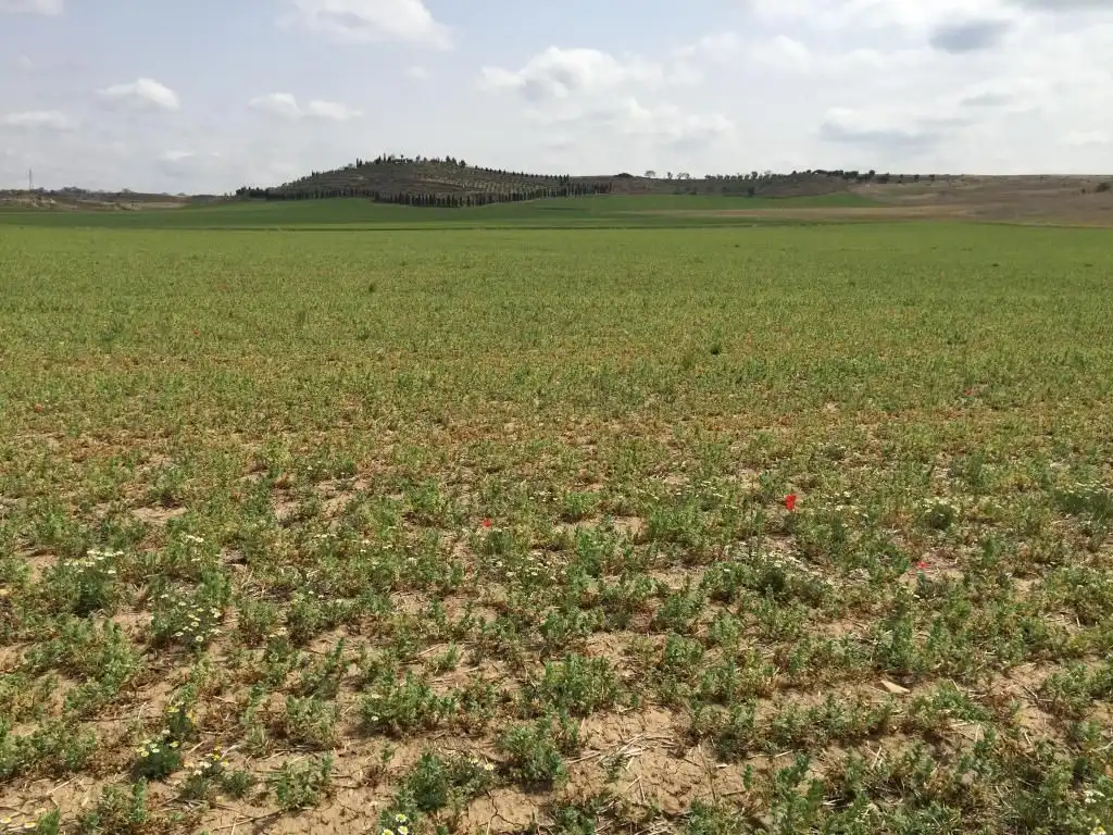 Residential for sale in Torres de la Alameda
