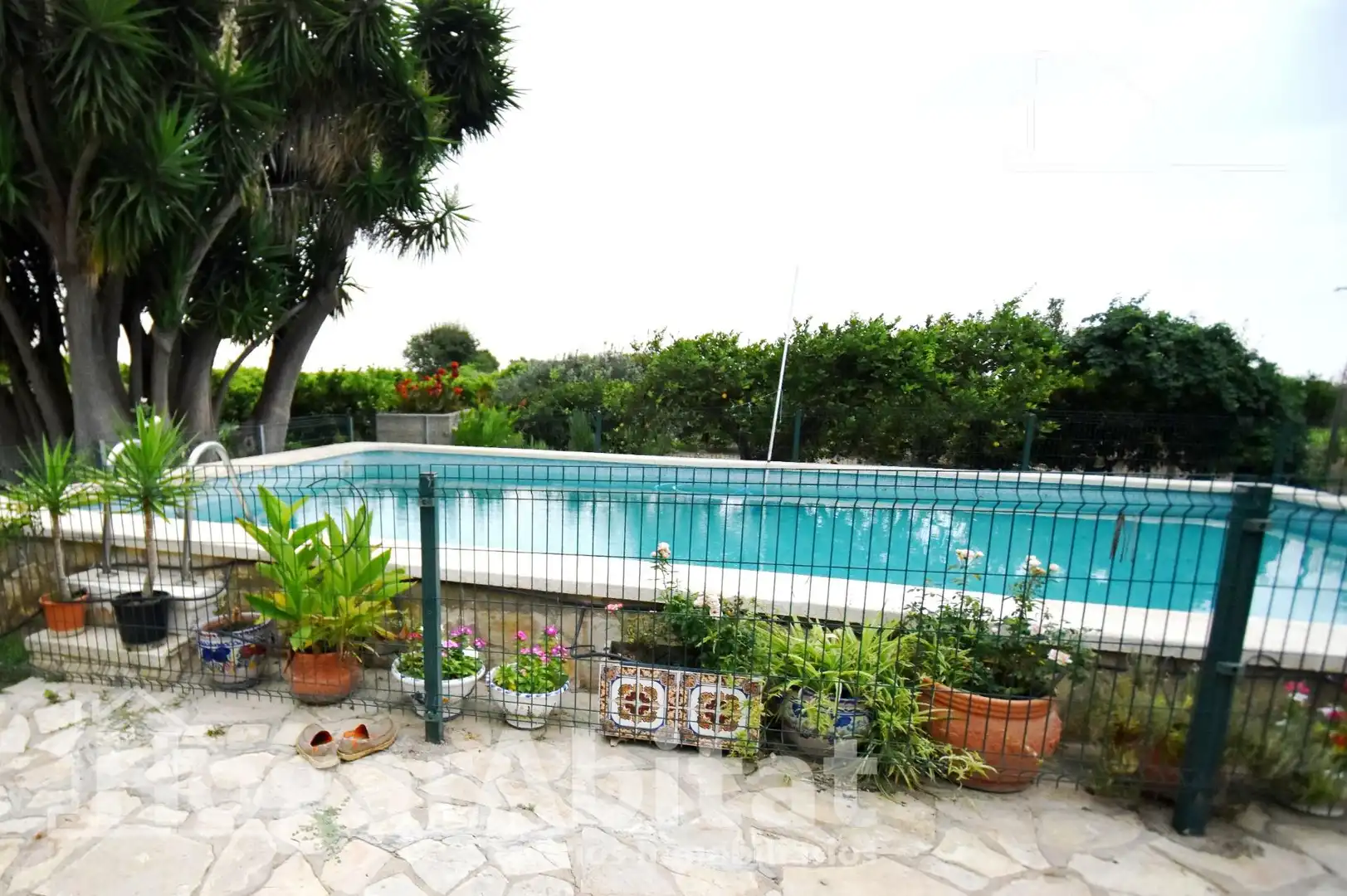 Piscina de Casa o chalet en venta en Castellón de la Plana / Castelló de la Plana con Jardín privado, Terraza y Piscina