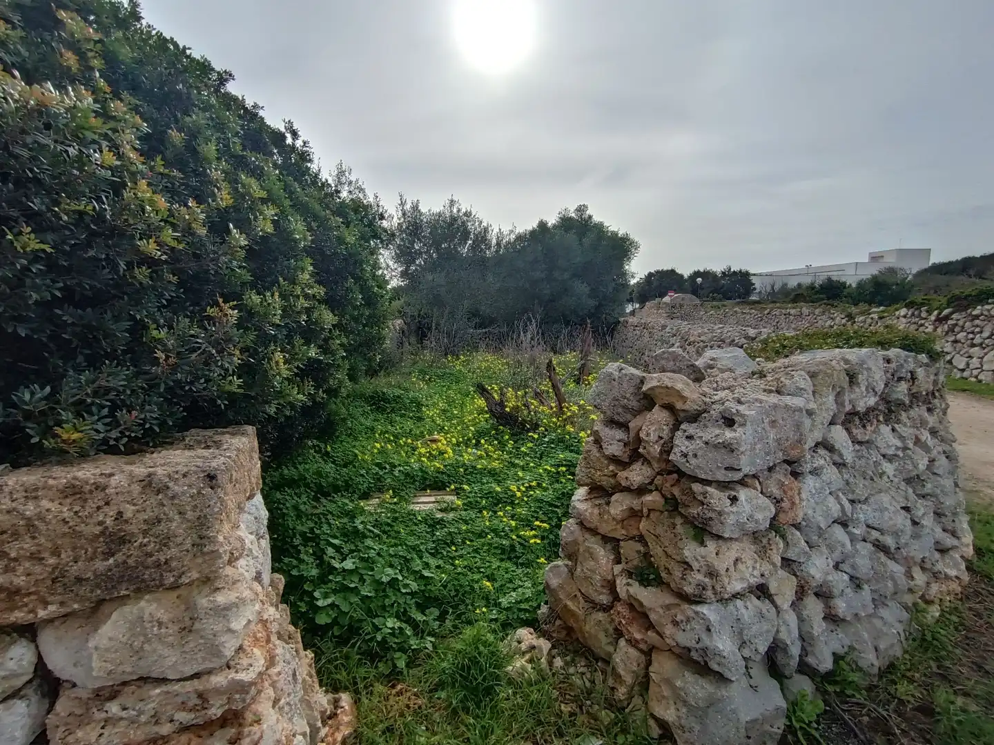 Rustikales Grundstück zum Verkauf in Sant Lluís - S'Ullestrar - Torret