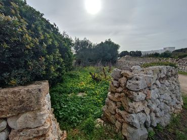 Terreno rústico en venta en Sant Lluís - S'Ullestrar - Torret