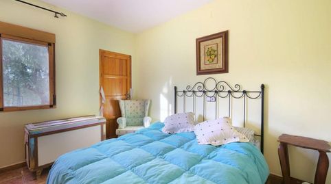 Foto 3 de Casa o chalet en venta en N/a, -1, Comares, Málaga