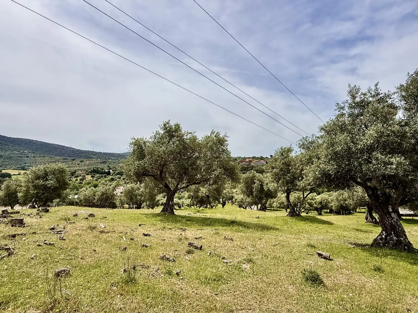 Finca rústica en venta en Plasencia con Jardín privado y Piscina