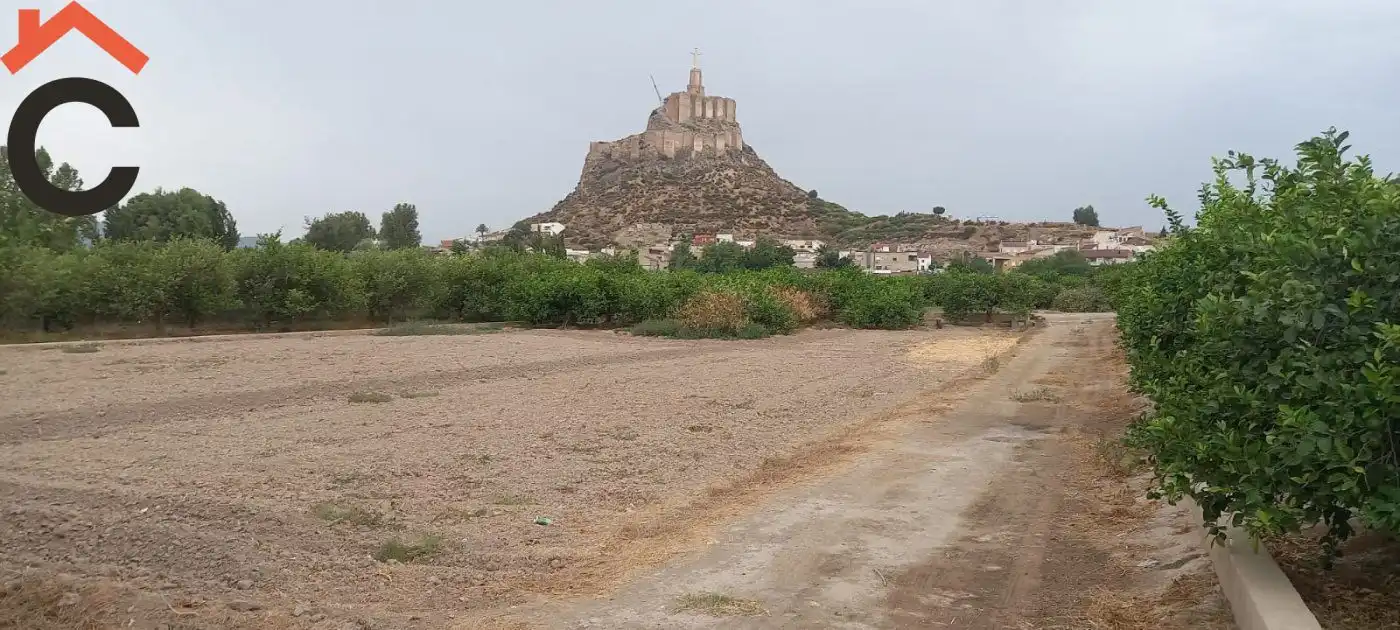 Terreny rústic en venda a Pedanías Norte, imagen 6