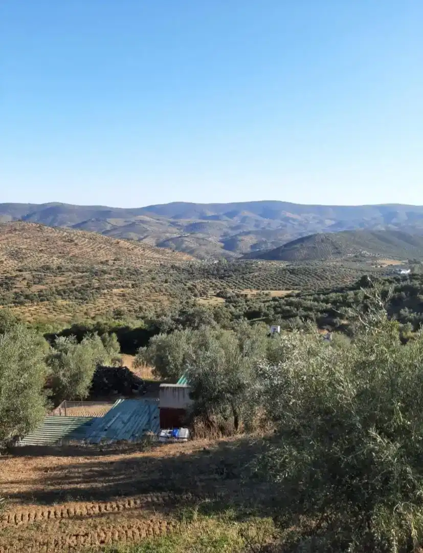 Terreno en venta en Villaharta, Córdoba