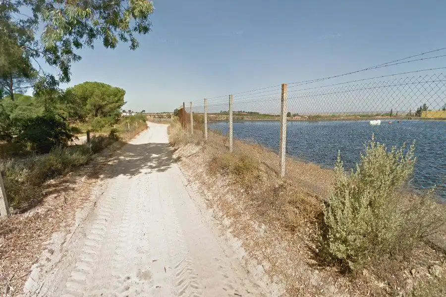 Terreni e lotti in vendita a Moguer, imagen 4