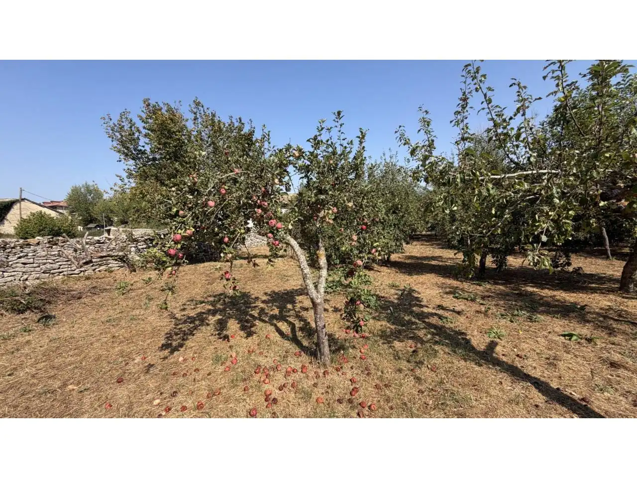 Casa o xalet en venda en Merindad de Sotoscueva amb Jardí privat i Terrassa
