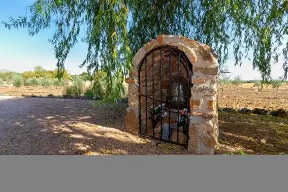 Garden of Country homes for sale in Almendral  with Private garden, Terrace and Storage room