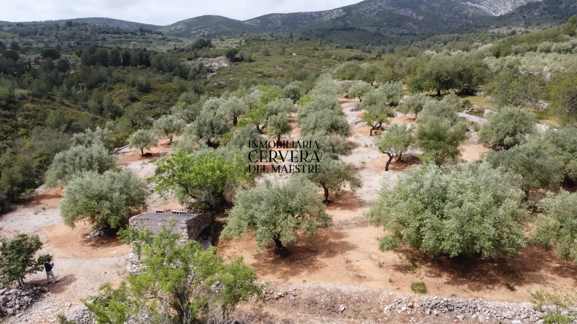 Terreno rustico in vendita a Cervera del Maestre, imagen 22