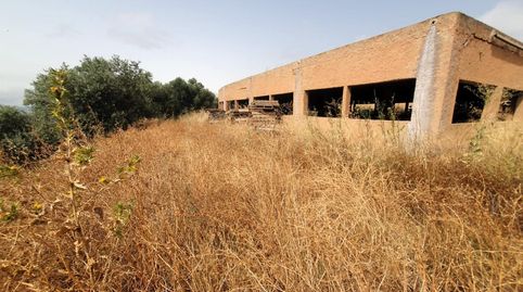 LanjarónFinca Rustica, imatge 3