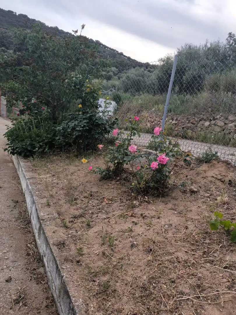 Garden of Houses for sale in Fuente Obejuna  with Swimming Pool