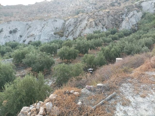 Grundstücke zum verkauf in Alicún