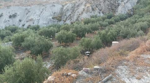 Photo 4 of Land for sale in Calle la Fuente, 2, Alicún, Almería