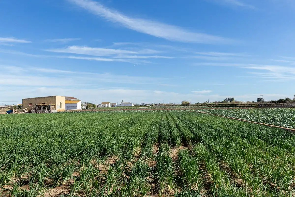 Casa amb terrassa en venda a Partida de Saboia, imagen 46