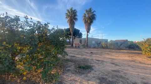Foto 3 de Finca rústica en venda a La Palma, Cartagena