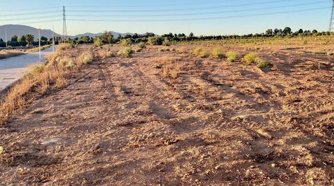 Parcelas Urbanas En La Exclusiva Urbanización La Nativa, imatge 4