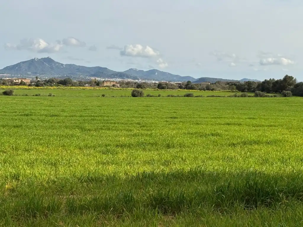 Residential land for sale in S'Horta - Cas Concos des Cavaller - Es Carritxó, imagen 4