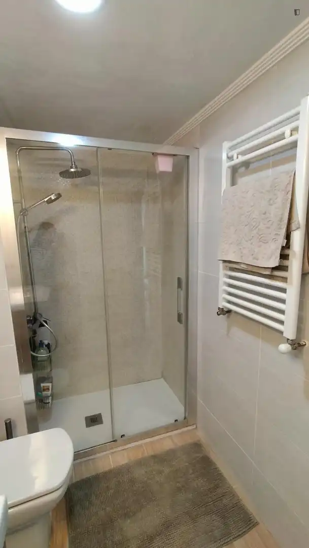 Bany de Apartament per a compartir en Getxo  amb Calefacció, Moblat i Forn