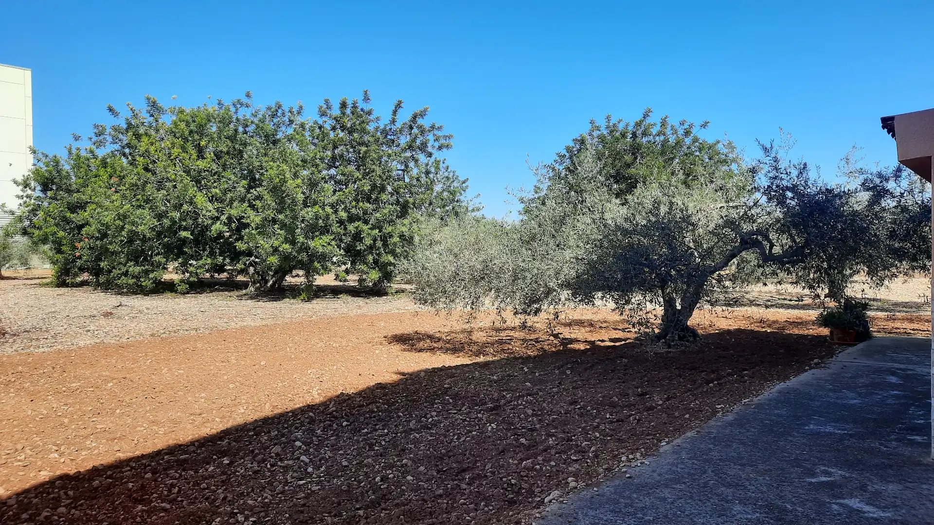 Villa avec terrasse à vendre à Les Salines, imagen 35