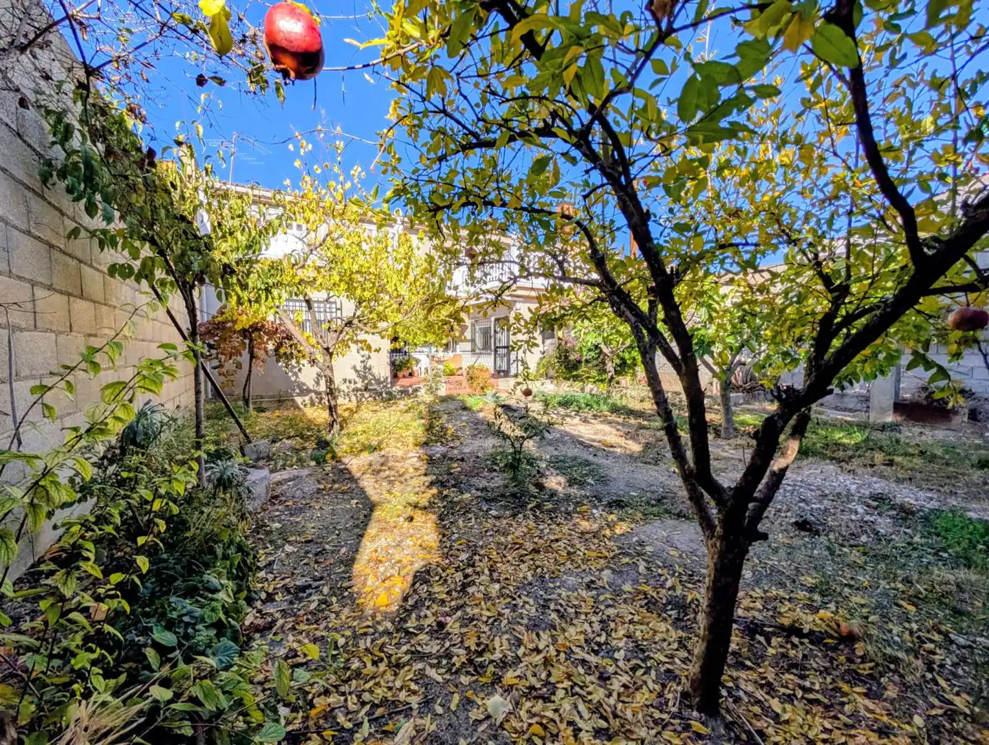 Xalet amb terrassa en venda a Moraleda de Zafayona, imagen 6