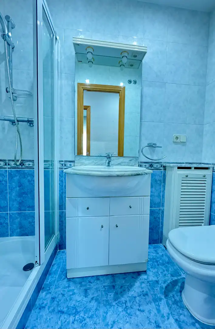 Bathroom of Flat for sale in Madrid  with Parquet flooring, Storage room and Furnished