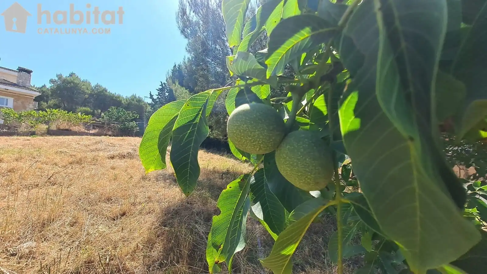 Terreno residenziale in vendita a El Bruc
