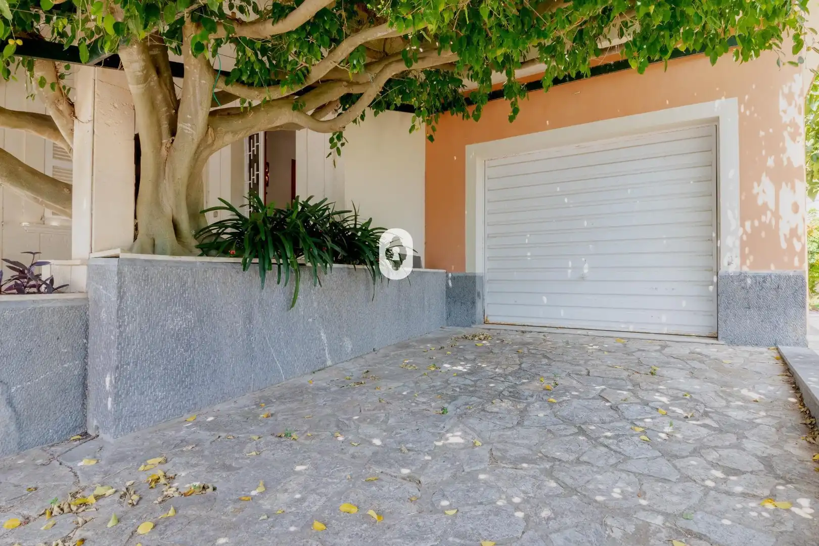 Vista exterior de Casa o xalet en venda en Santa Margalida amb Jardí privat i Parquet