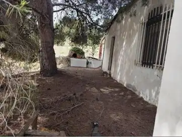 Land for sale in El Pinós / Pinoso