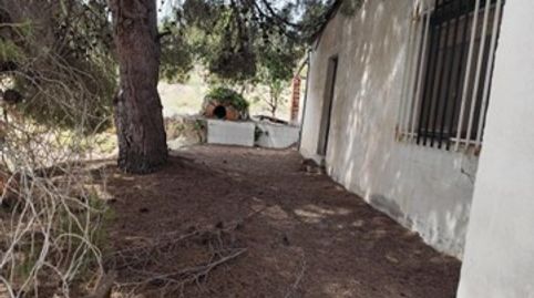 Foto 4 von Grundstücke zum Verkauf in Polígono 20 Parcela 135, 20, -1, El Pinós / Pinoso, Alicante