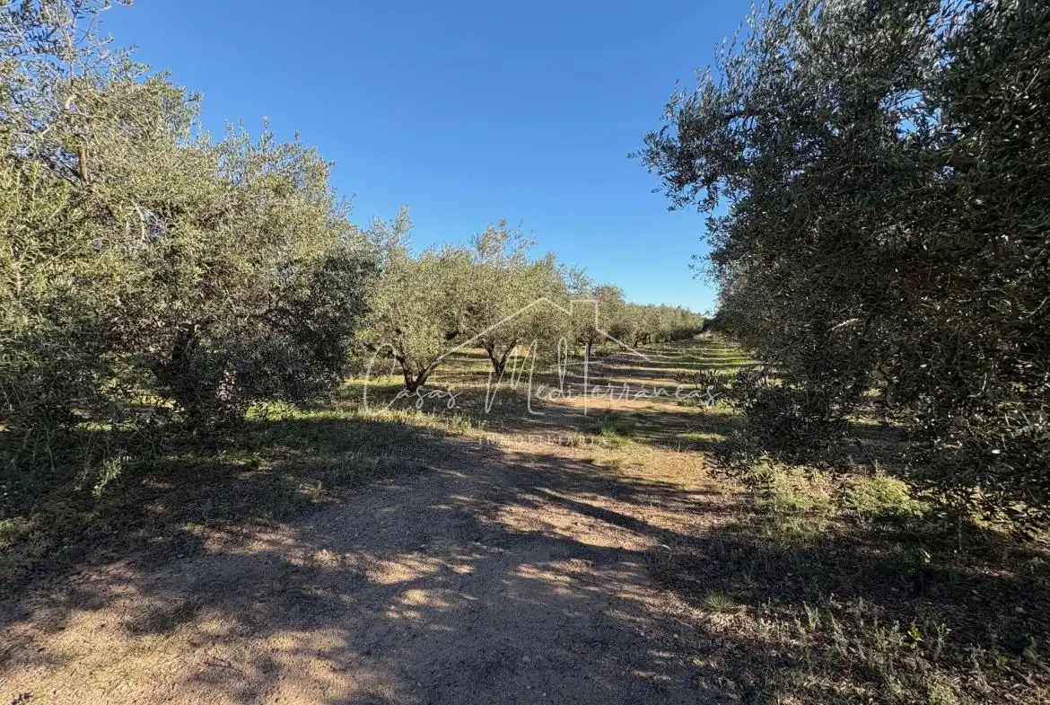 Country house for sale in Vinyols i els Arcs, imagen 5
