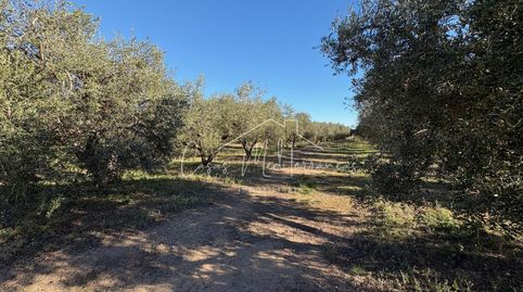 Foto 5 de Finca rústica en venta en N/a, Vinyols i els Arcs, Tarragona