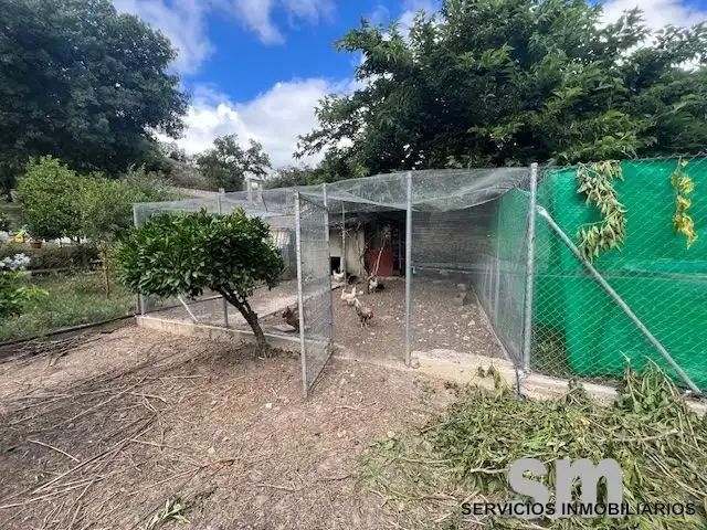 Terrain rustique à vendre à Benaocaz, imagen 6