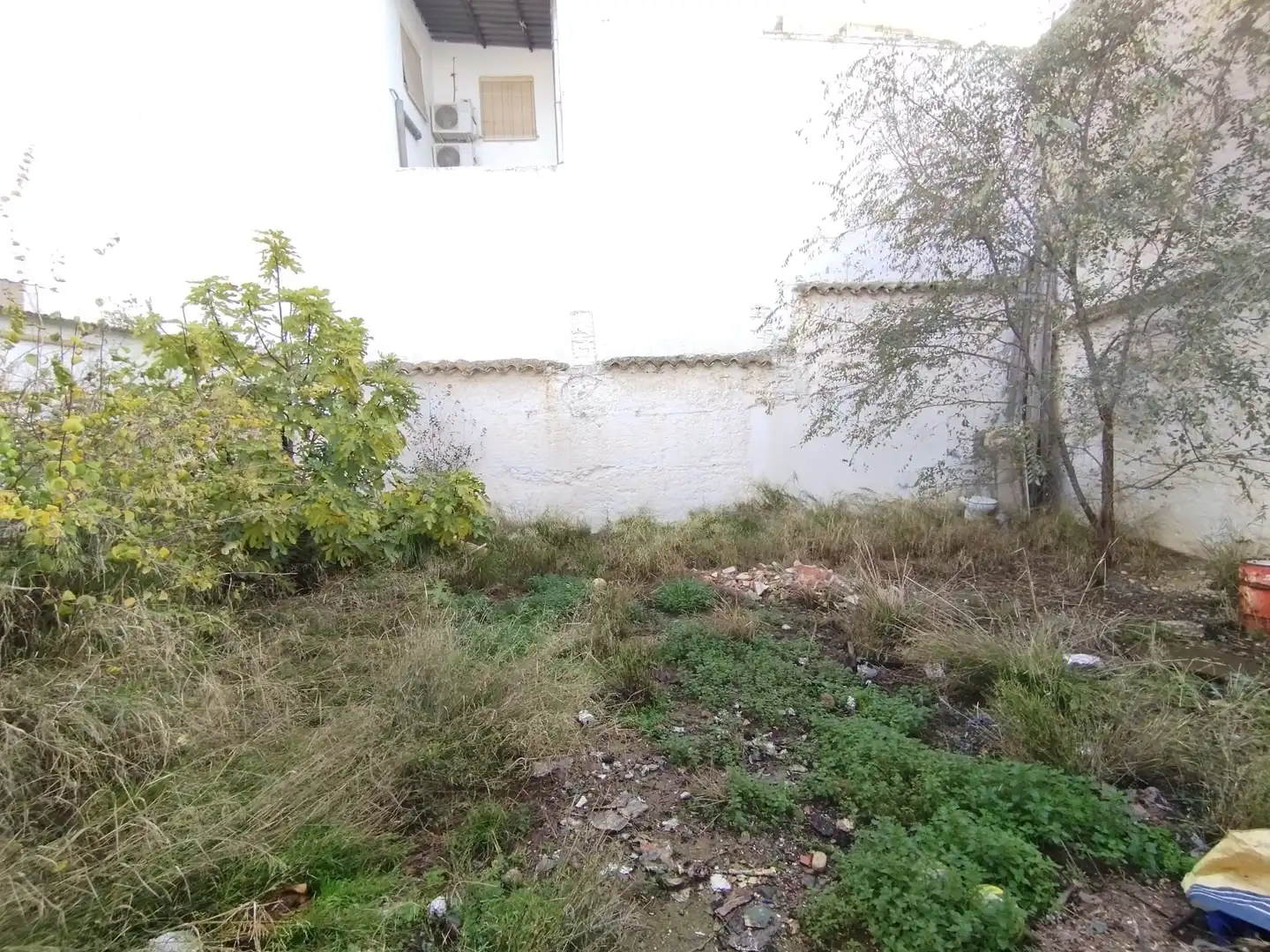 Maison à vendre à Calle Campomanes, imagen 5