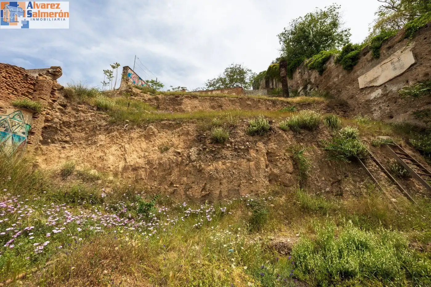 Residential land for sale in Beiro, imagen 33