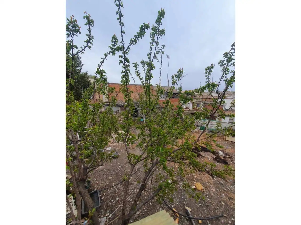 House with garden for sale in Úbeda, imagen 11