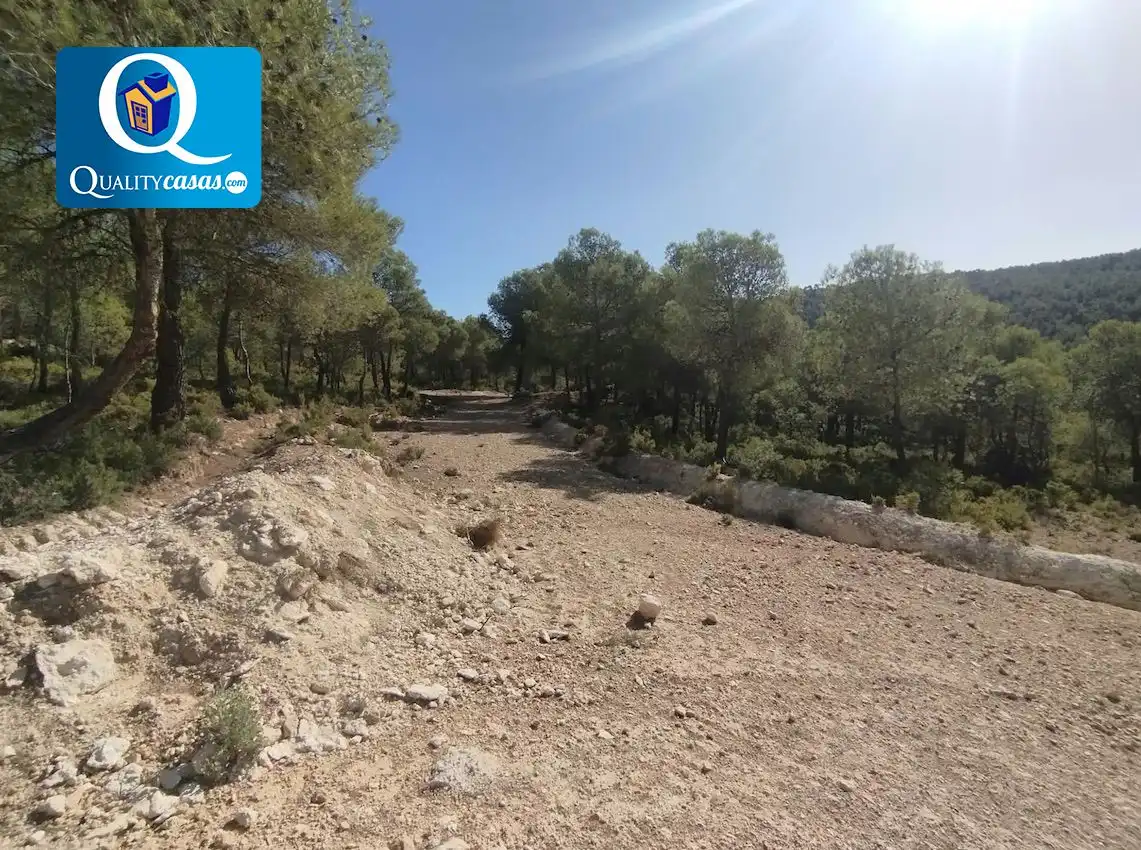 Terrenys i solars en venda a Onil, imagen 12