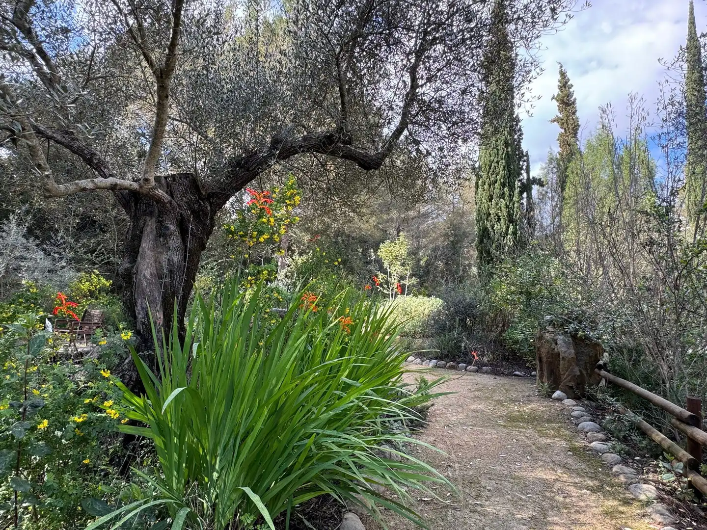 Garden of Country homes for sale in Alcalà de Xivert  with Heating, Private garden and Swimming Pool