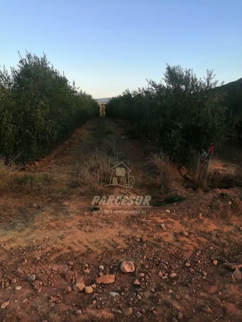 Finca rústica en venda en La Granjuela
