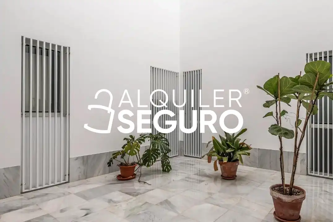 Appartamento con ascensore in affitto a Teodosio, imagen 2