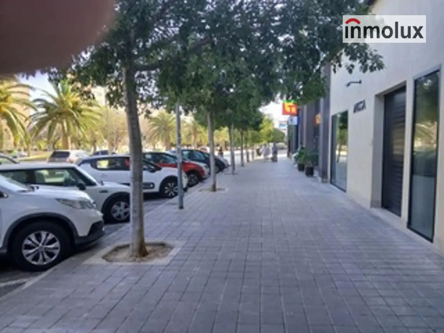 Local comercial de lloguer a Avenida Historiador Vicente Ramos, imagen 5
