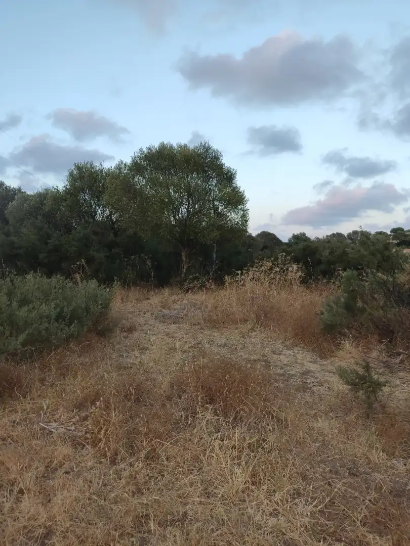 Land for sale in Vejer de la Frontera