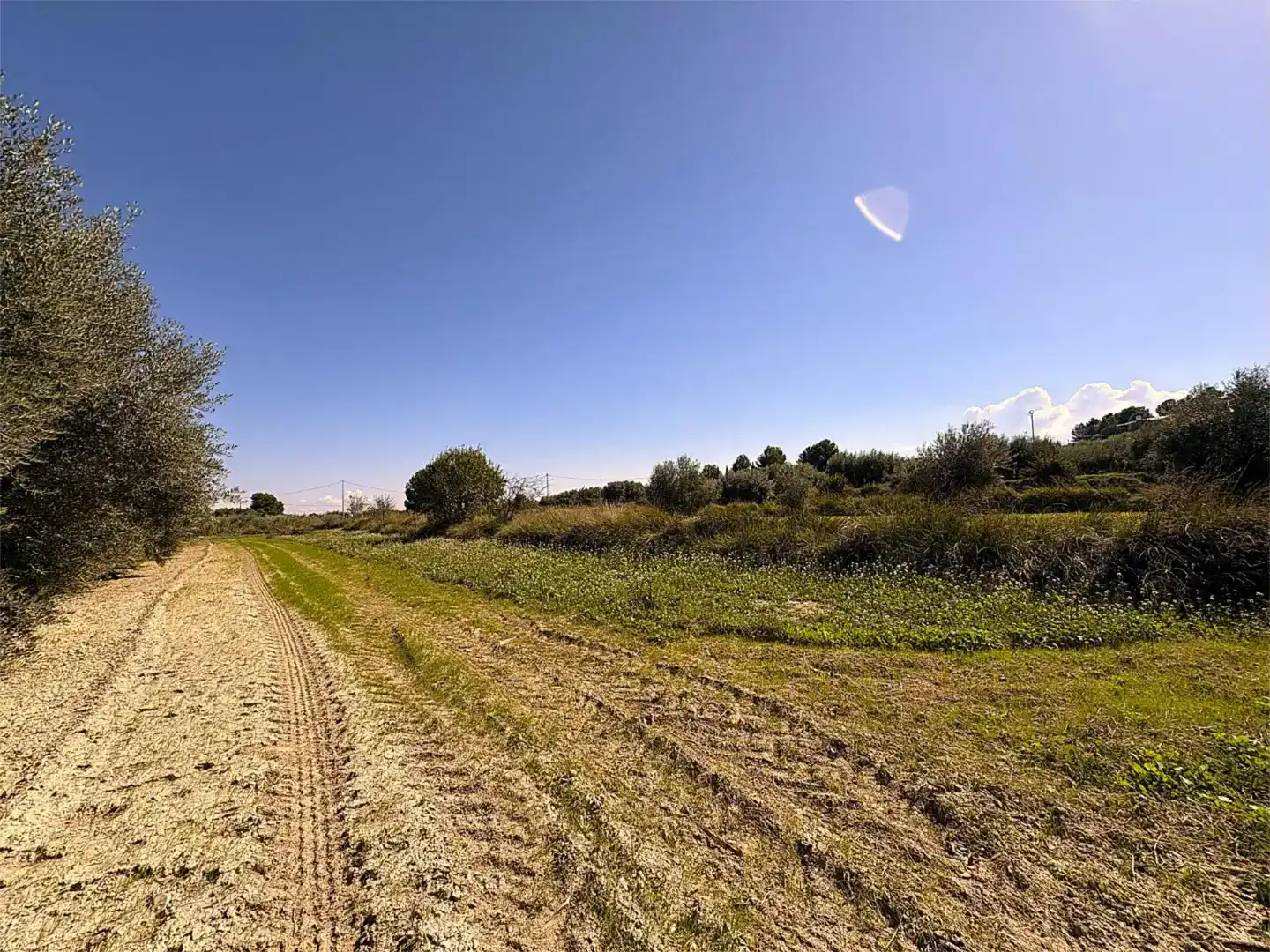 Finca rústica en venda a Camino Pieza de Navarro, 132, Moratalla