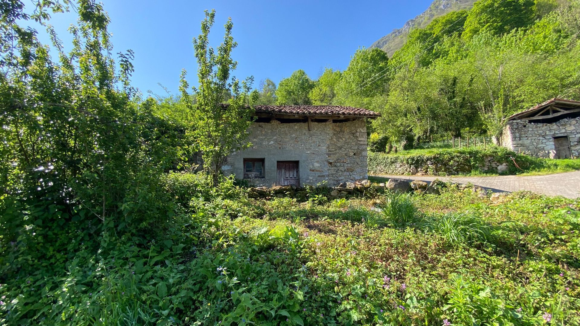 Garden of House or chalet for sale in Ponga