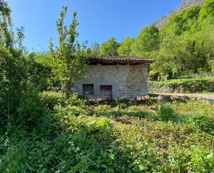 Jardí de Casa o xalet en venda en Ponga