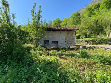 Casa in vendita a Tribierto