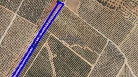 Terreno agrario 1Hectarea, immagine 4