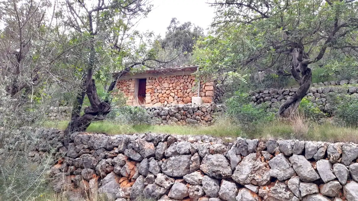 Terreny rústic en venda a Fornalutx